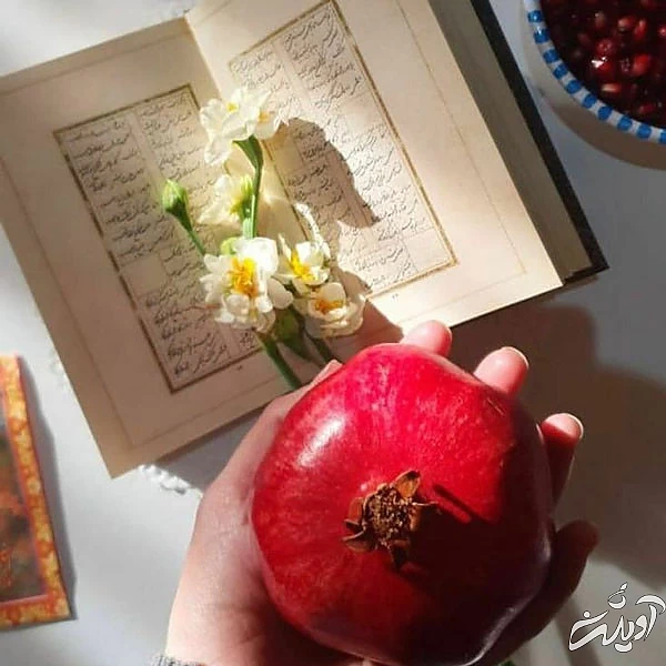 عکس پروفایل یلدا عکس شب یلدا با کیفیت بالا عکس شب یلدا خانوادگی عکس شب یلدا دونفره عکس برای شب یلدا دخترانه عکس شب یلدا 1402 عکس شب یلدا عاشقانه عکس پروفایل یلدا u;s \v,thdg dgnh